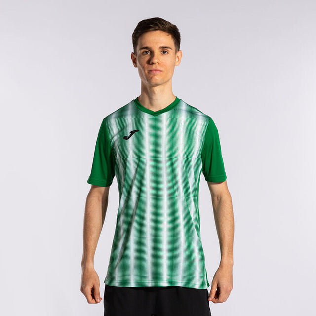 Dres / majica INTER II SHORT SLEEVE T-SHIRT zelena bela